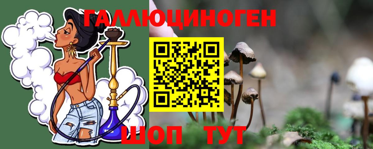 Псилоцибиновые грибы MAGIC MUSHROOMS  Псилоцибиновые грибы Magic Shrooms  Магнитогорск  Вход с VPN 